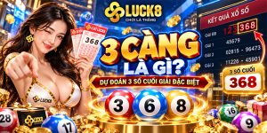 3 Càng Là Gì